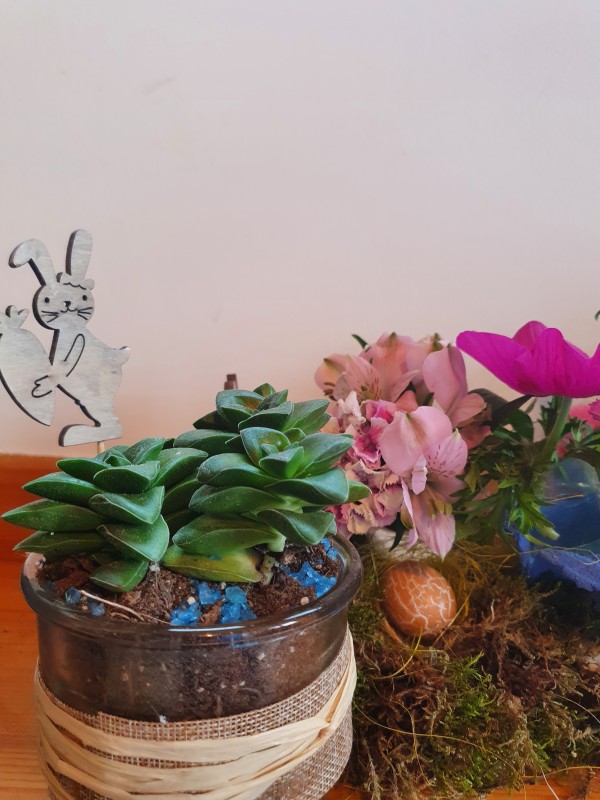 Atelier compositions fleuries dans des boîtes d'œufs- Samedi 18 avril 2026- 40 euros