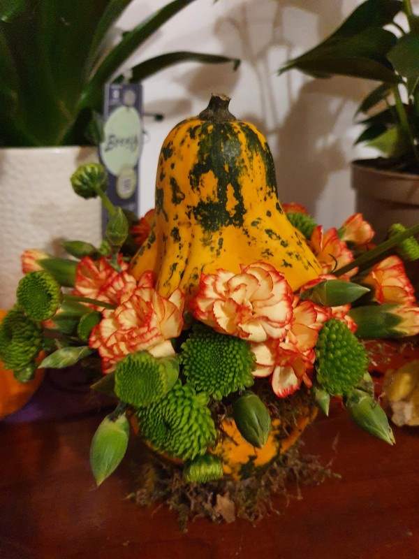 Atelier Composition piquée dans une courge- Samedi 18 octobre 2025- 45 euros