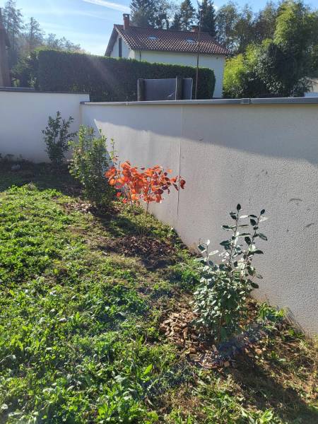 Valorisation d'un petit jardin à Lozanne
