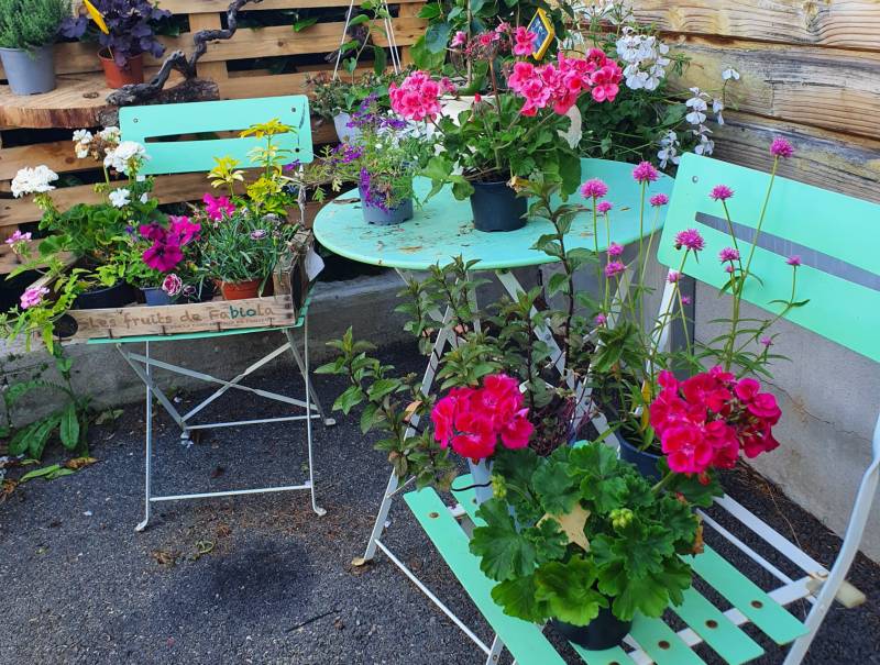 Fleuriste à Arnas pour plantation sur balcon