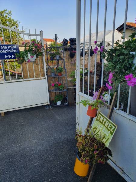 Pépinière vers Villefranche sur Saone