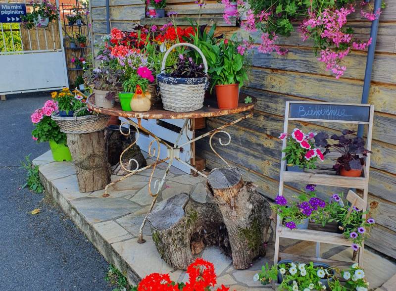 Fleuriste à côté de Villefranche sur Lyon qui propose des plantes pour jardin