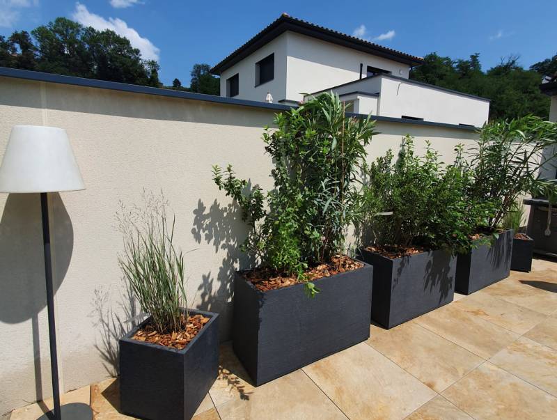 Plantes pour terrasse ensoleillée à Lozanne dans le 69