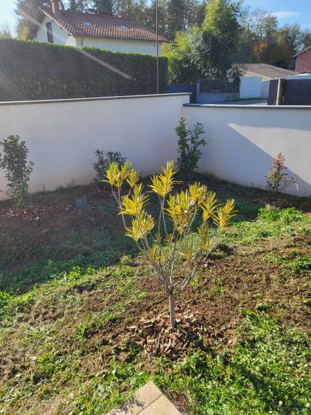 Paysagiste dans le Beaujolais pour petit jardin