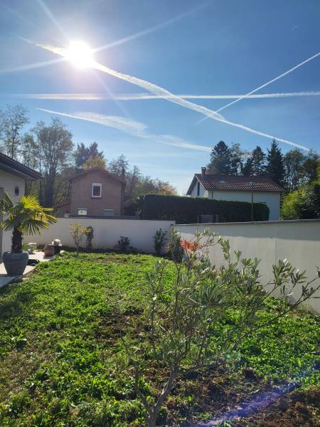 Plantation dans un petit jardin dans le 69